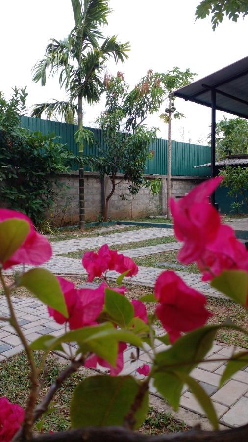 Thomasha Homestay ウェラワヤ エクステリア 写真